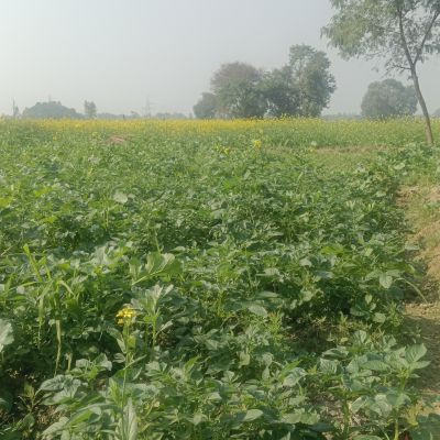 102153028593865470941 