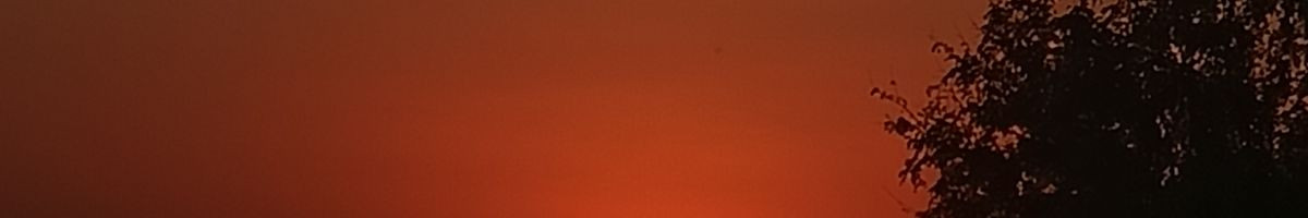 sumitt_1