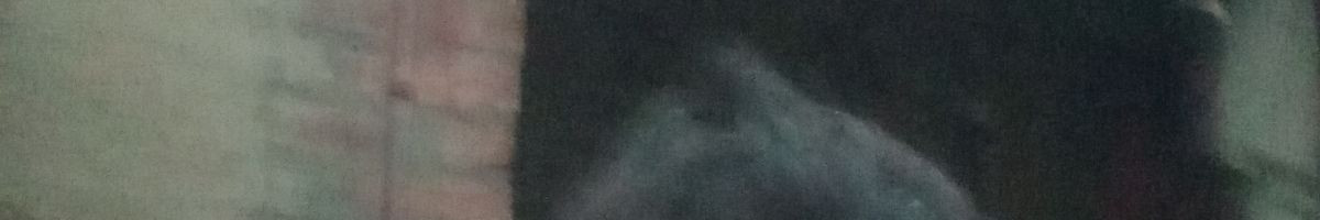 104742677277361326595 