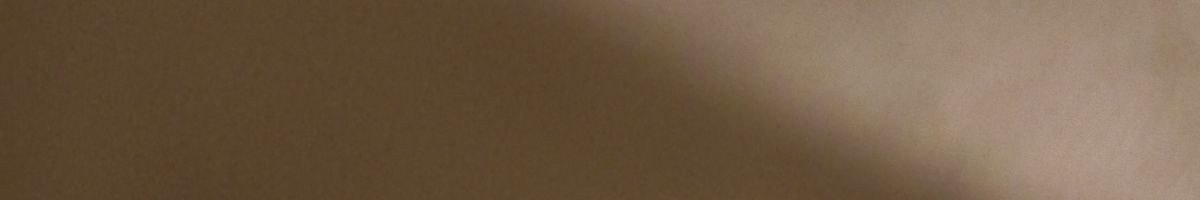 cartoon_vlogs101 cartoon_vlogs101