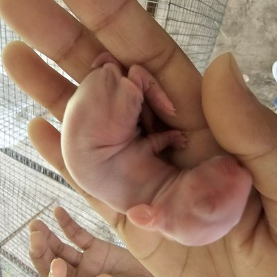 114672518368089469483 