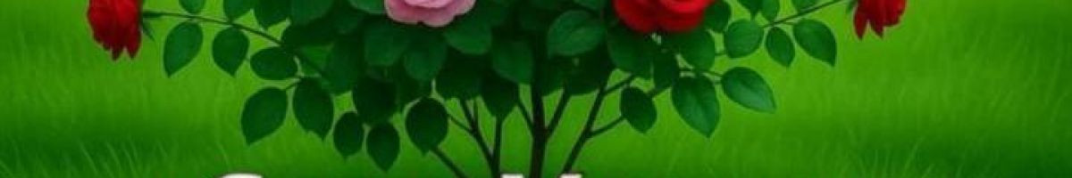 105994635641944038483 