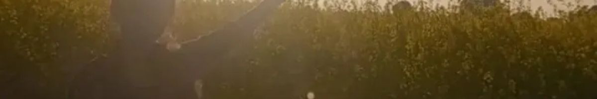 103361358856237679496 