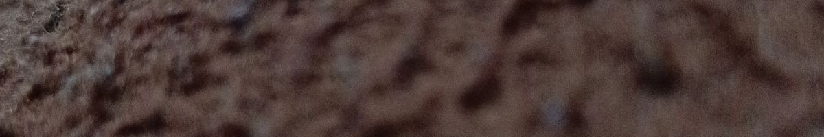 princeranout princeranout