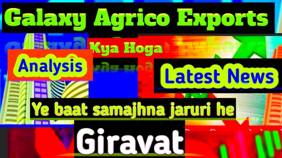 ⁣Galaxy Agrico Exports Share Price
