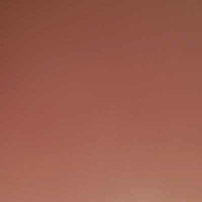 116488897575650166916