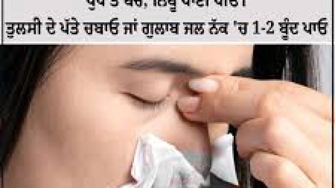 ਨੱਕਸੀਰ ਫੱਟਣ ਦਾਂ ਦੇਸੀ ਤੇ ਘਰੇਲੂ  ਇਲਾਜ਼ ਨੱਕਸੀਰ (ਨੱਕ ਵਿੱਚੋਂ ਖੂਨ ਵਗਣਾ)