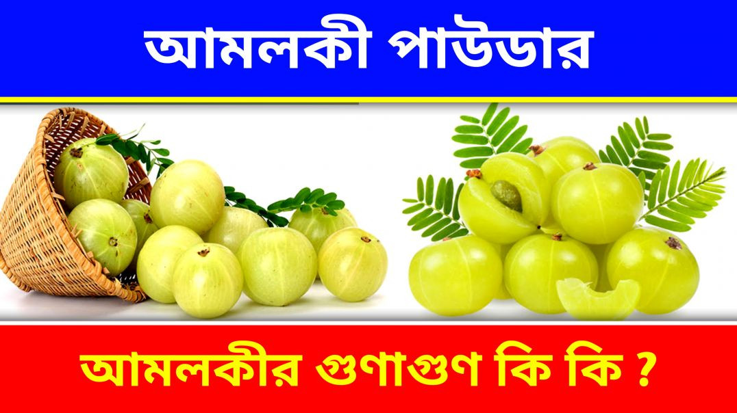 ⁣আমলকী পাউডারের উপকারিতা | Benifits Of Amla Power