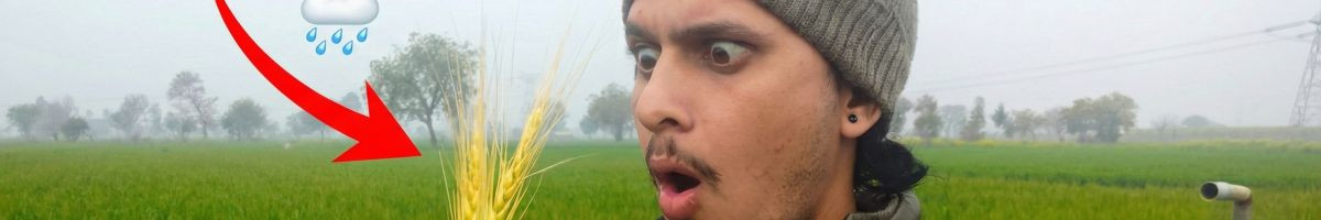 Mrdeswalvlogger