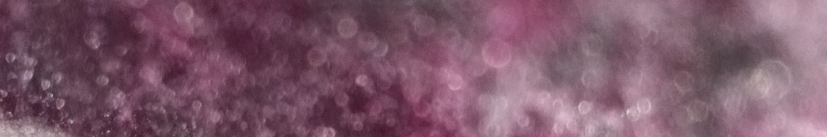 115830219801164527386 