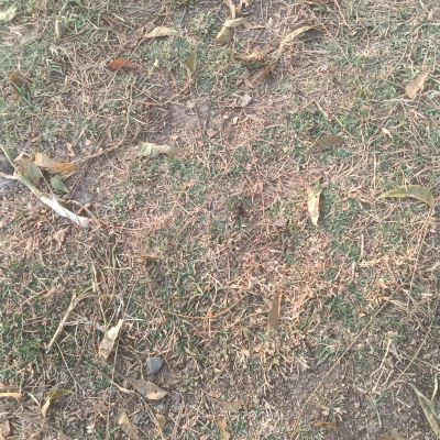 110042631582244331138 