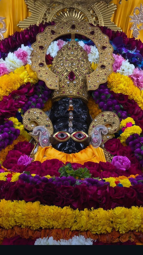 lv_7598875438047448336_20260127035708