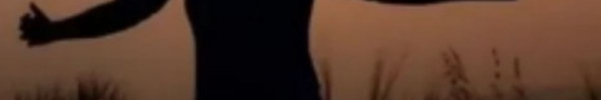 107693308394554764259 