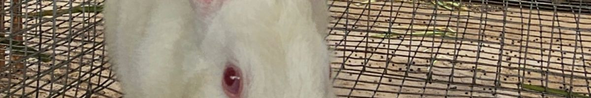 114672518368089469483 