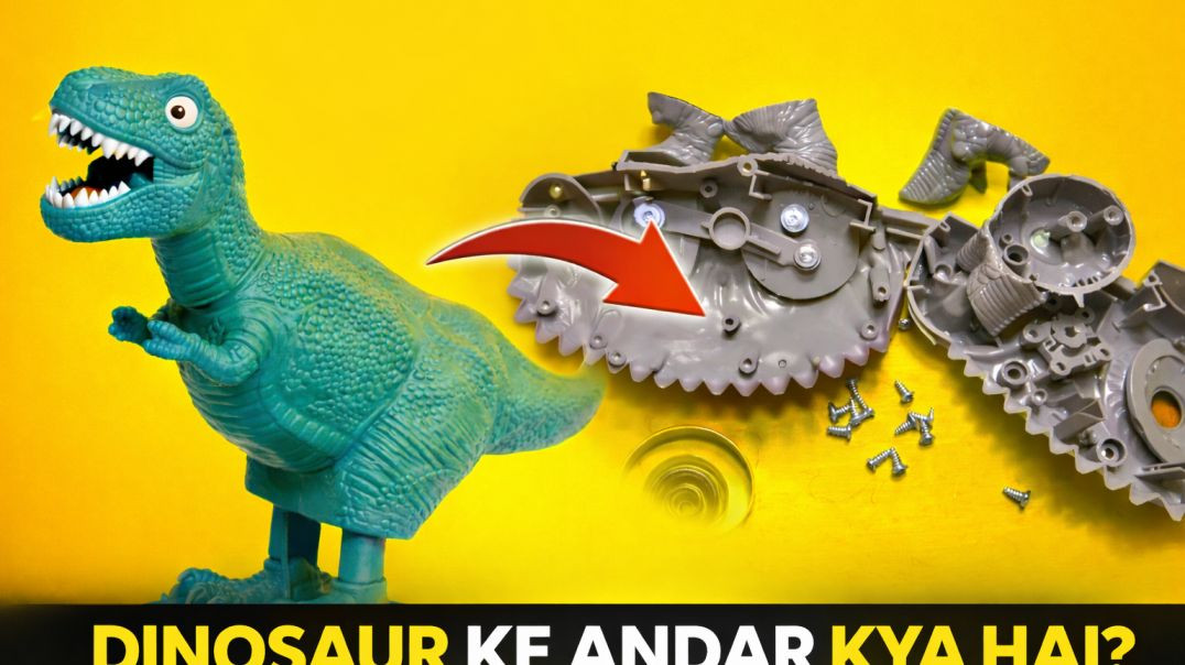 ⁣Dynasor ka ander kya aata hai