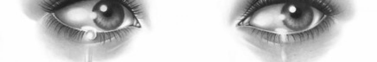 113723016331193491599 