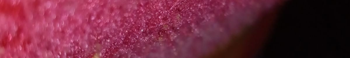 ॐ╃─ͥ͢─ᷟ℘ari𝄟⃝🚩✧ 