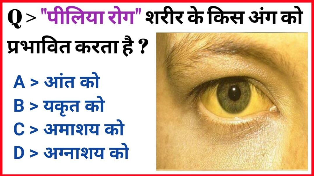 ⁣General knowledge || gk gs