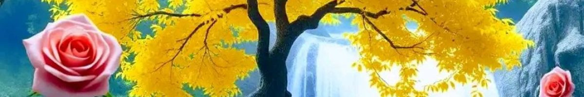 105858921244434709782 