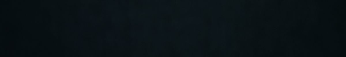 1bdjking000