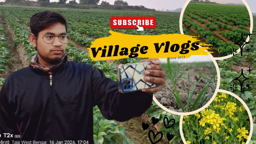 ⁣শীতকালে গ্রামের মাঠে কি কি চাষ হয়? || Farming Vlog || Village lifestyle