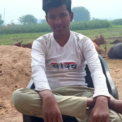 116623981355646637453 