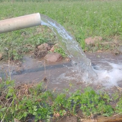 107400328279248169843 