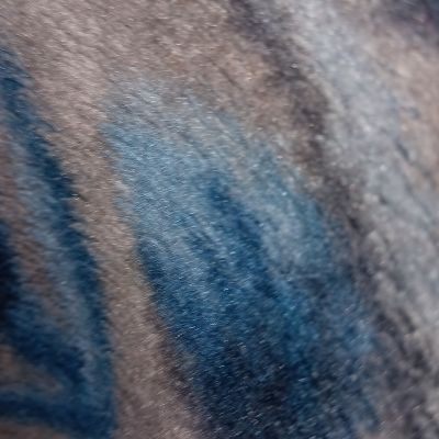 103125179447395160781 