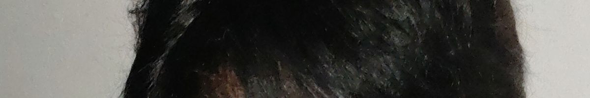 prabhudhaida prabhudhaida