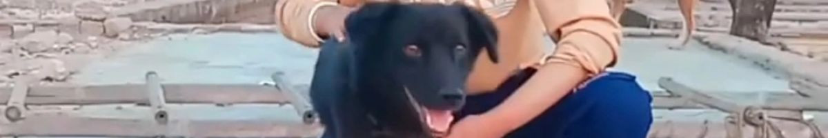 sharmaashu84811@gmail.com sharmaashu84811@gmail.com