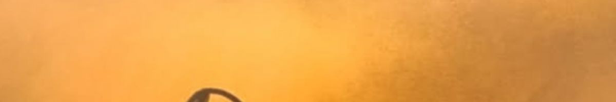 Julichoudhary04