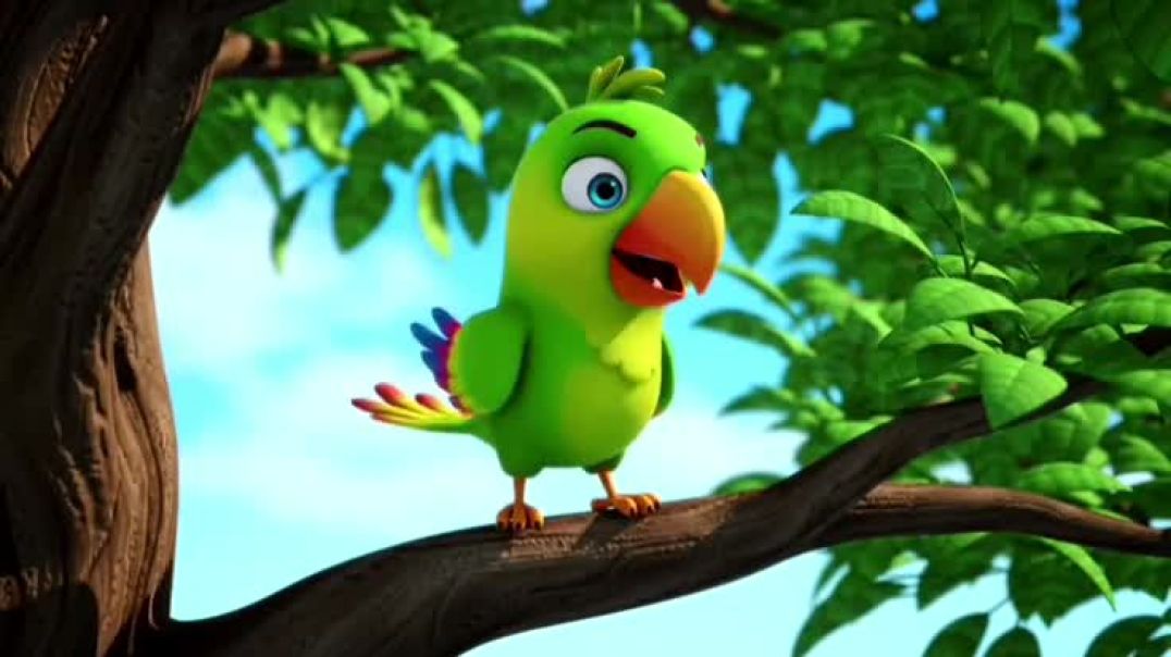 ⁣Video 🦜🦜🦜🦜🦜