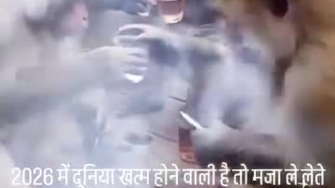 ⁣Bandaron ki comedy videos