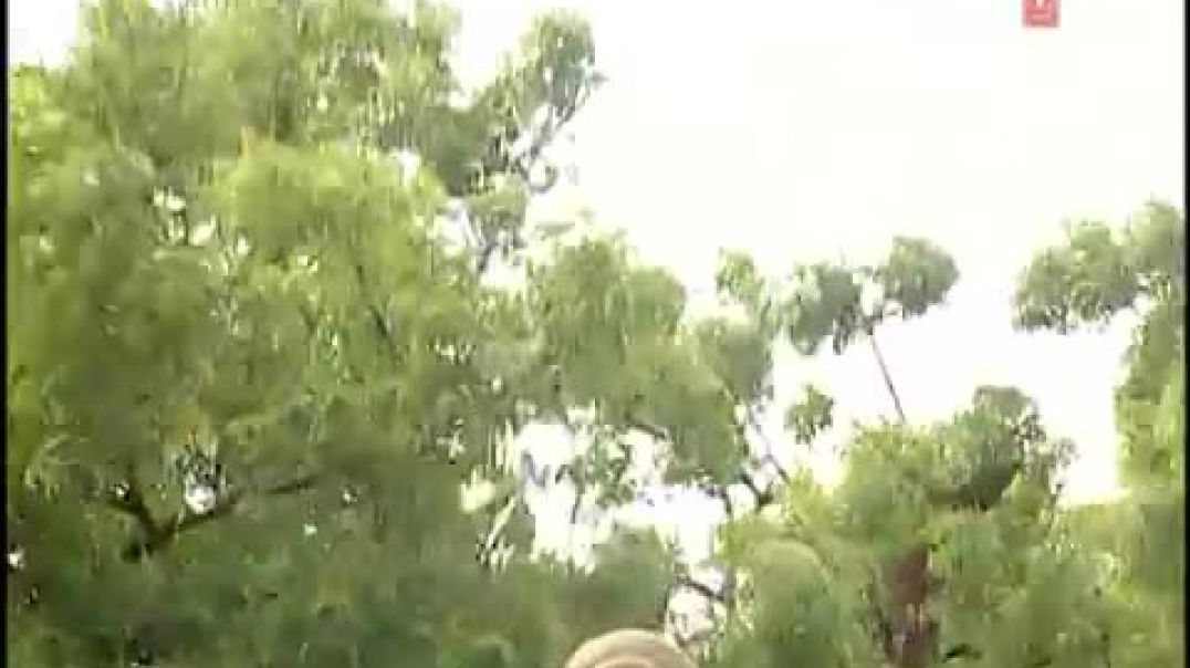 ⁣Nimia Ke Dadhi Maiya [Full Song] Mayi Kaal Ratri(360P)