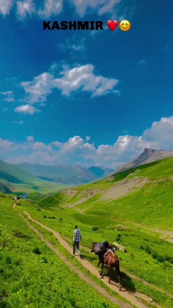 VID_20260104_221827_610