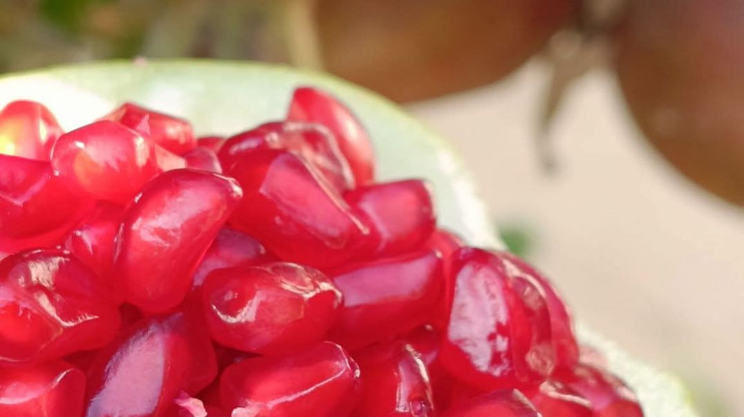 ⁣All Time Guava ( बारह मासी अमरूद)