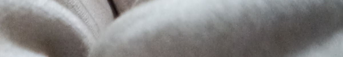 101395871085987911434 