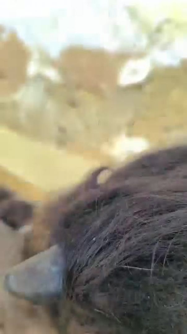 Ek ktori dudh ke chakkar me dosti kharab