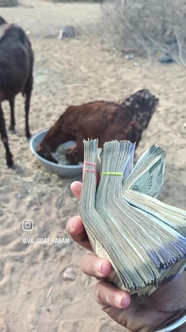 VID_20260122_223344_508