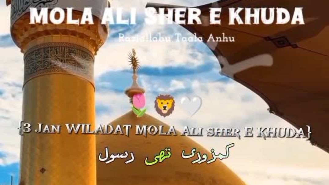 VID_20260102_043557_374