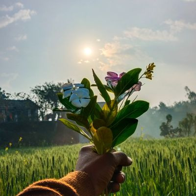 106120707542035419822 