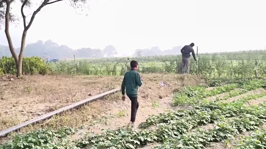 ⁣कॉमेडी कौशांबी#