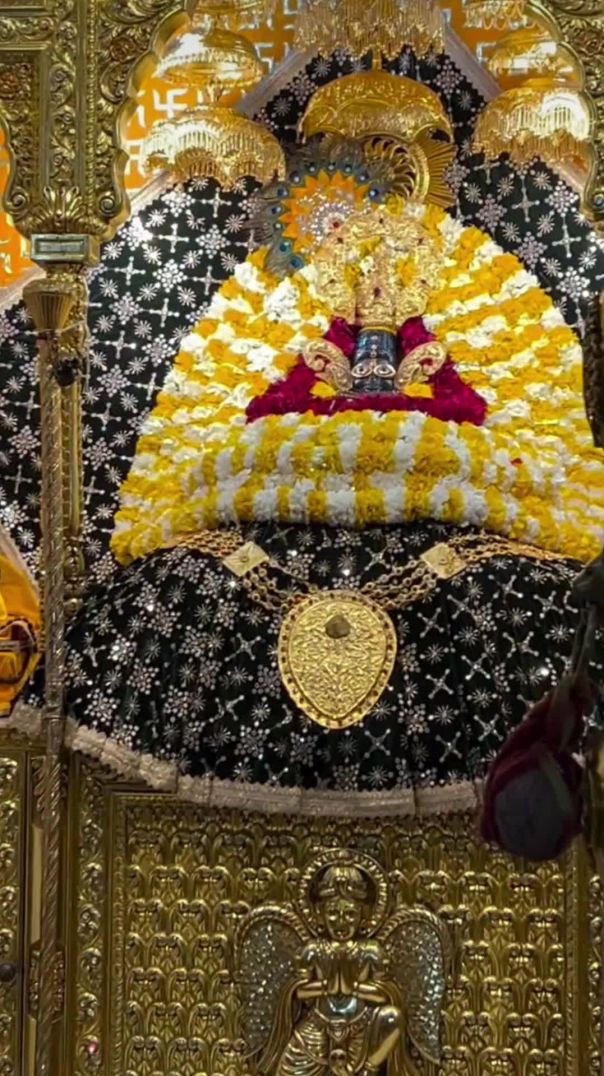 VID_20260129_184236_431