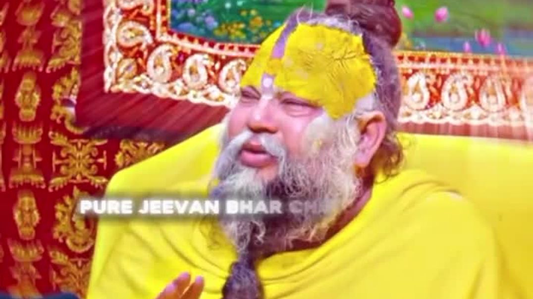 992년 발매된 스페인 세비야 출신 듀오 Los del Río의 곡으로, 스페인에서 먼저 인기를 얻었지만, 이후 라틴아메리카와 미국까지 퍼져나가며 전 세계적인 메가 히트를