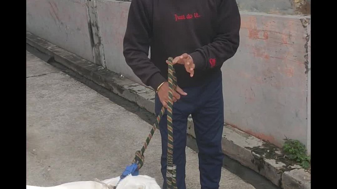 ⁣#चलो चलते हैं