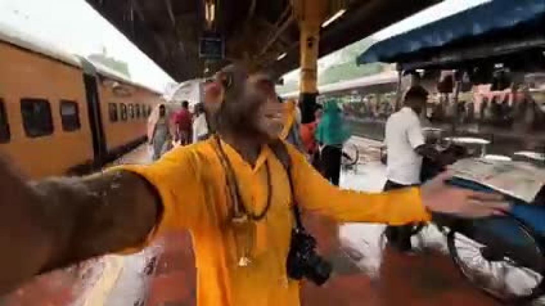 Monkey_Vlog_in_Banaras_🐒___Kashi_Vishwanath,_Ganga_Aarti___Street_Food_Tour___Ai_World(240p)