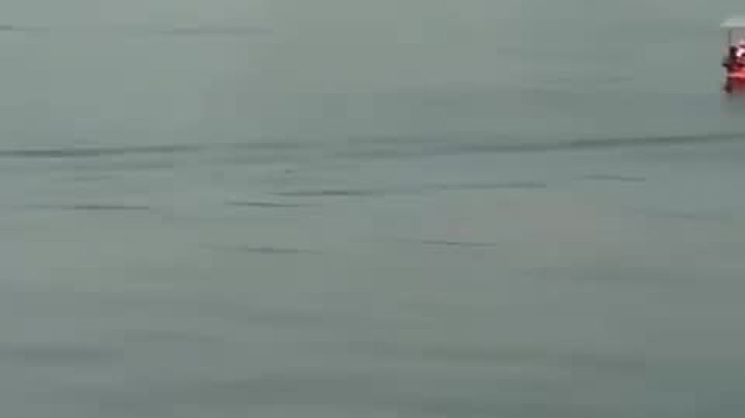 ⁣Fatehsagar Lake Udaipur