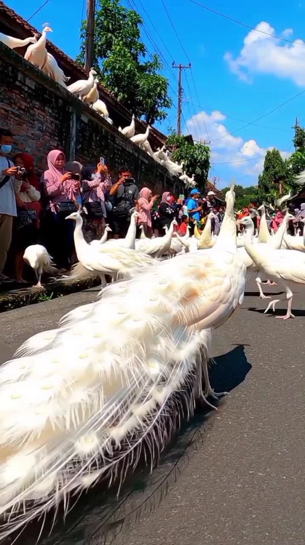 _storage_emulated_0_Android_data_com