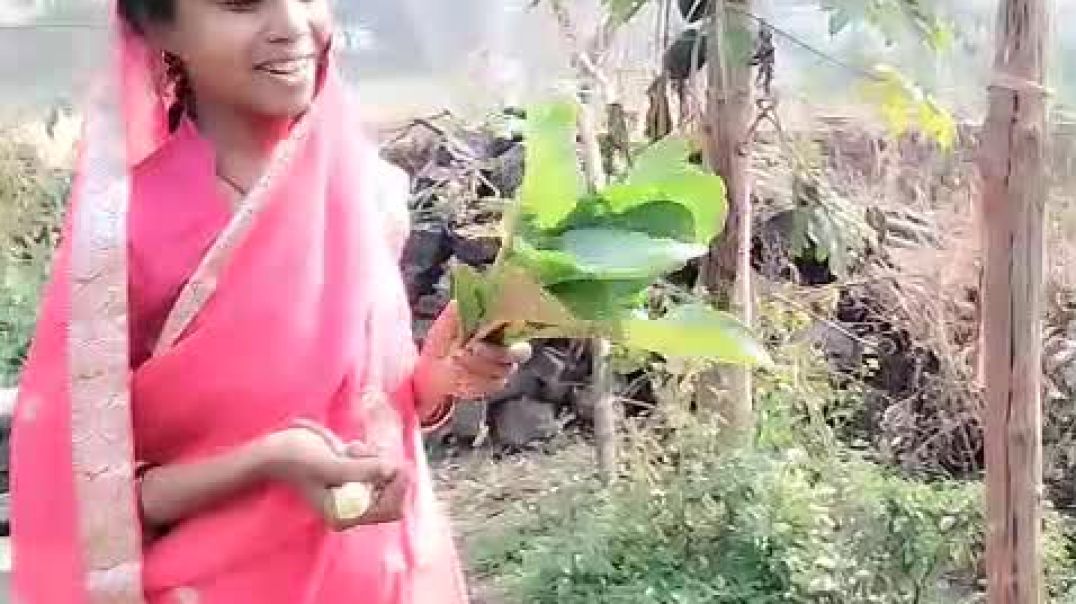 ⁣सब्जी 😔😔