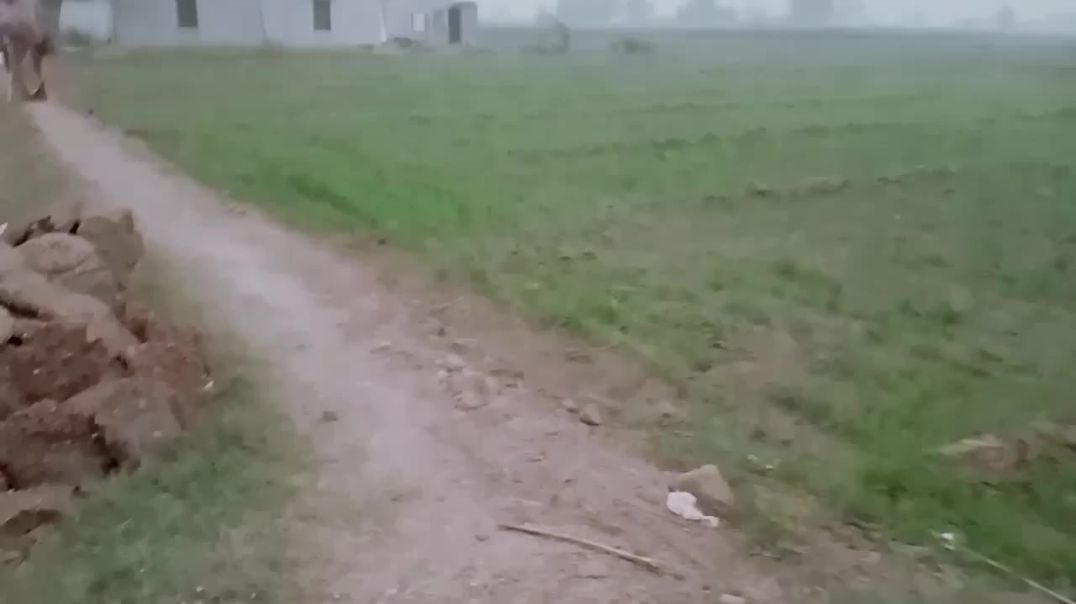 ⁣आज हम गए अपने हरे भरे खेतों में घूमने